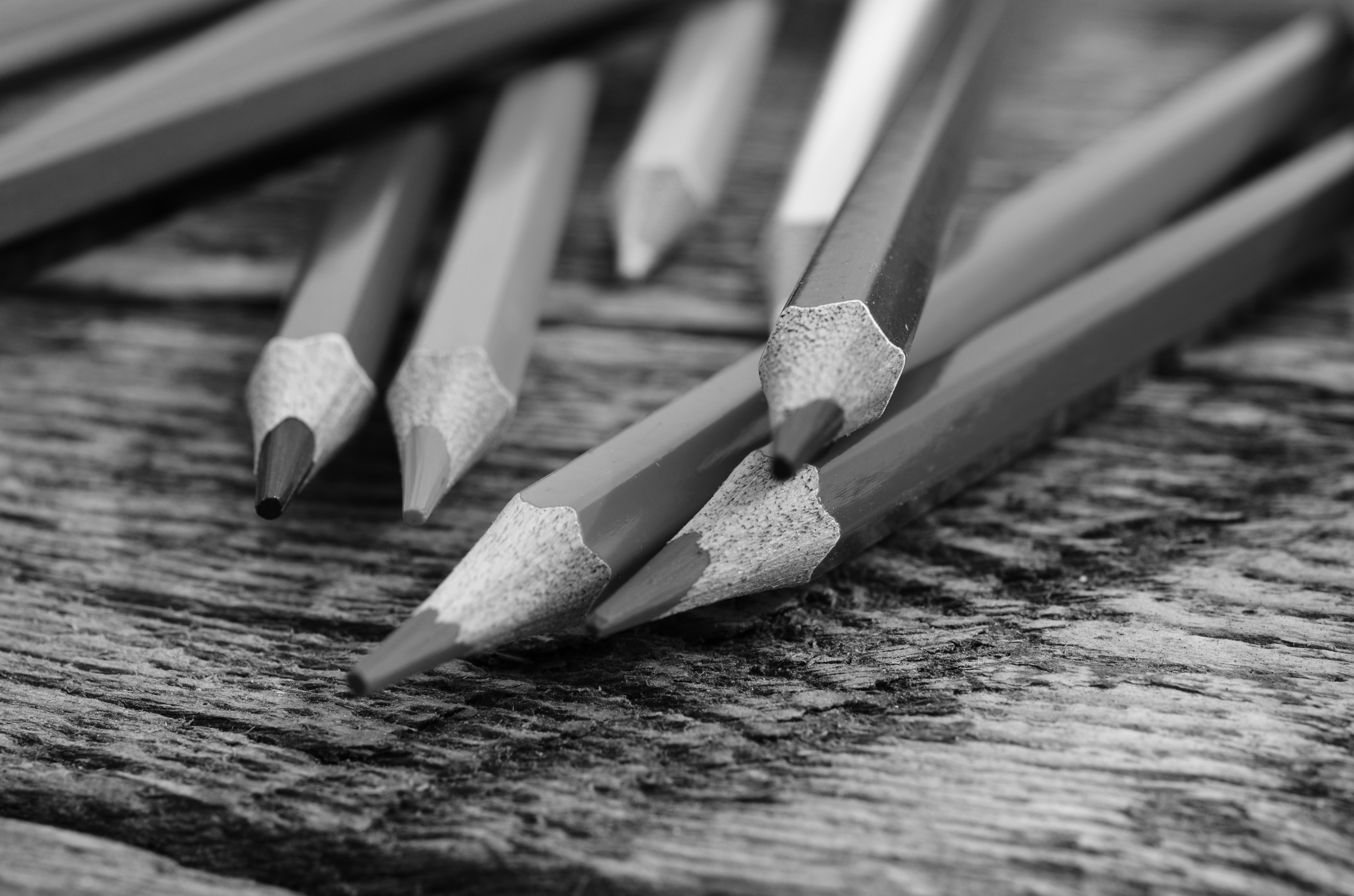 The Revolution Will Be Stenciled: Making Art When It’s All Too Much